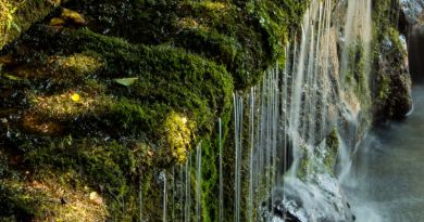 Экскурсии в `Медовые водопады` из Железноводска