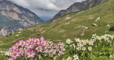 Экскурсии в `Замок-фрегат в Ханазе` из Железноводска